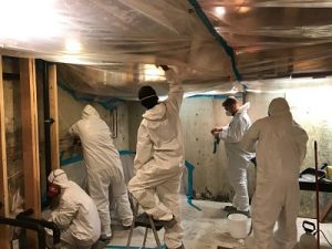 911 Restoration Mold Removal Bakersfield