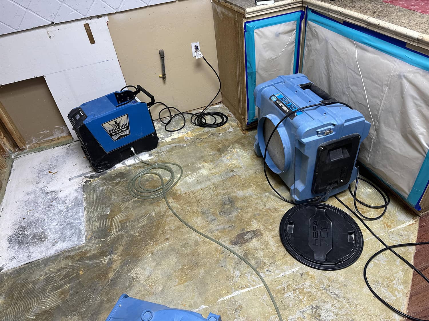 Why Professional Mold Remediation Matters